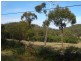 Lot 31 Back Creek Road, Nethercote NSW 2549