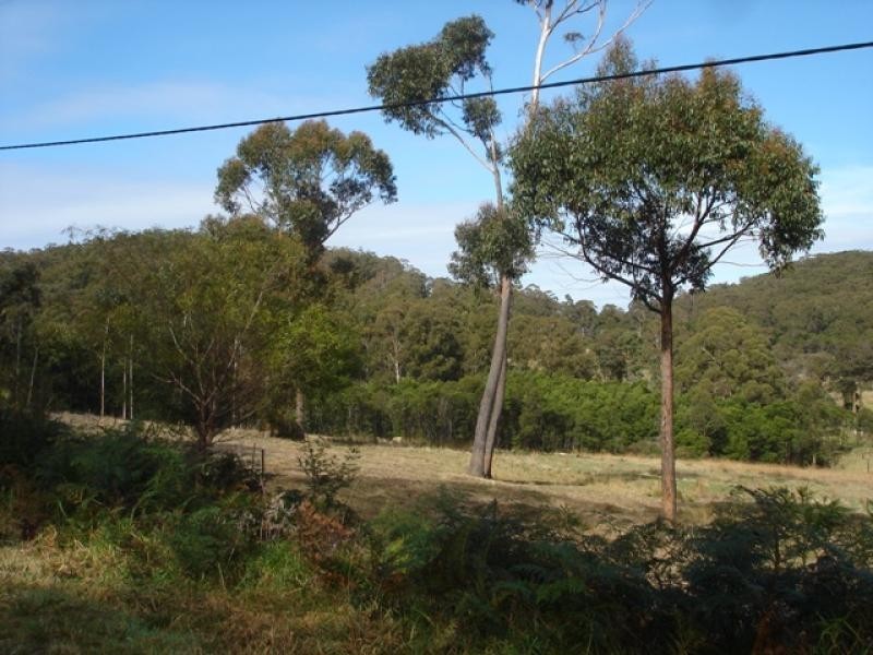 Lot 31 Back Creek Road, Nethercote NSW 2549