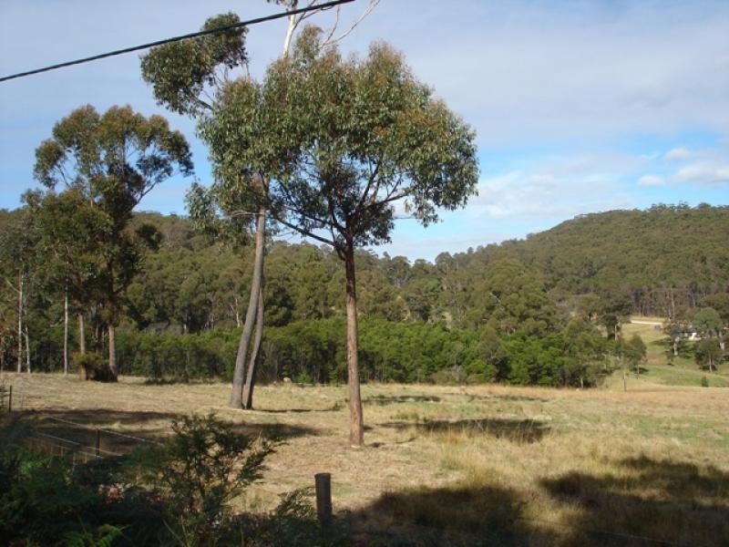 Lot 31 Back Creek Road, Nethercote NSW 2549