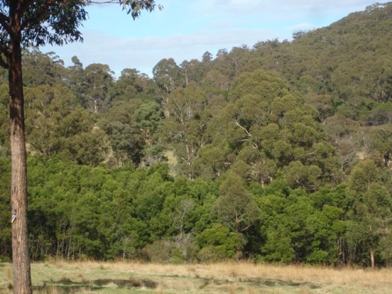 Lot 31 Back Creek Road, Nethercote NSW 2549