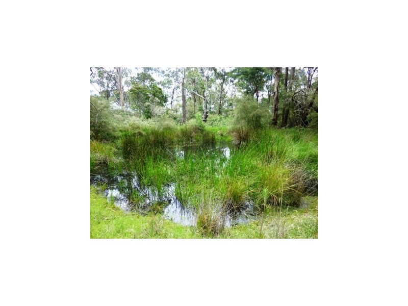 17 Settlers Rd, Greigs Flat NSW 2549