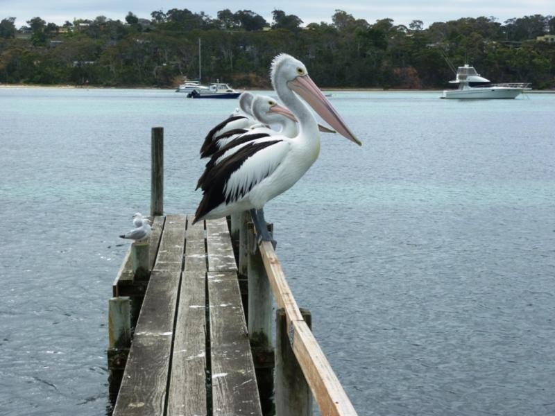 Apartment 5/2 Fishpen Road, Merimbula NSW 2548