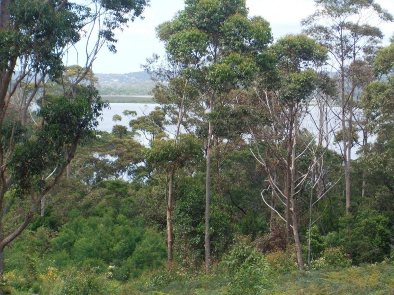 83 Mulloway Circuit, Merimbula NSW 2548