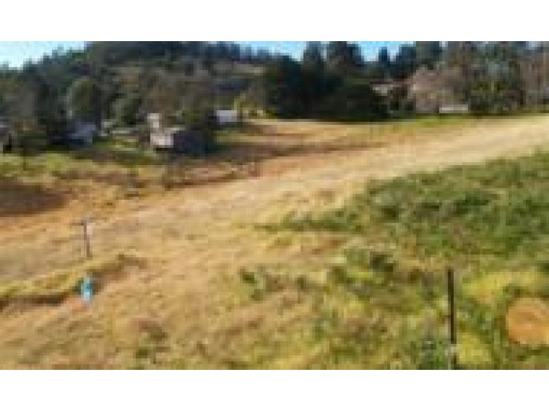 17 Phillips Street, Wolumla NSW 2550