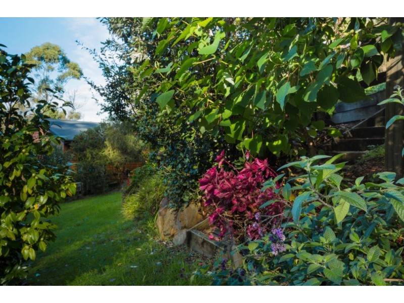 1 Beverley Street, Merimbula NSW 2548