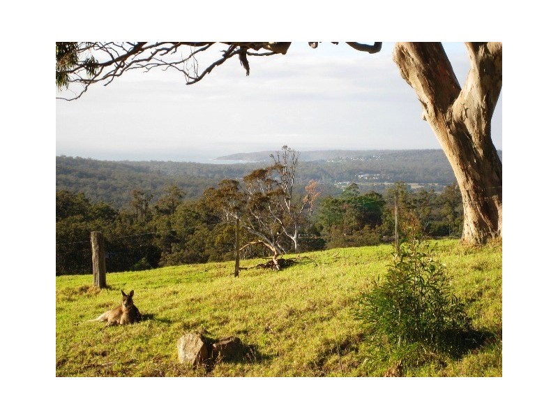 379 Bald Hills Road, Bald Hills NSW 2549