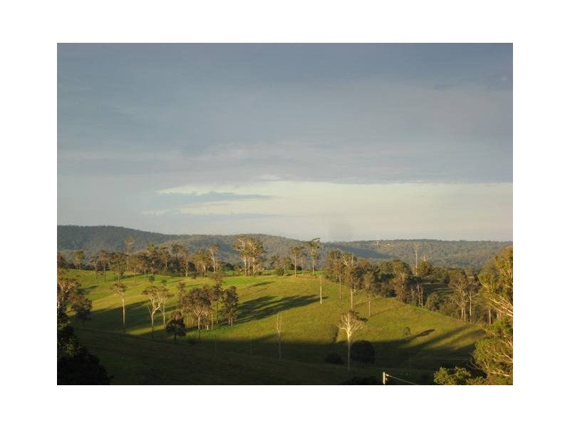 379 Bald Hills Road, Bald Hills NSW 2549