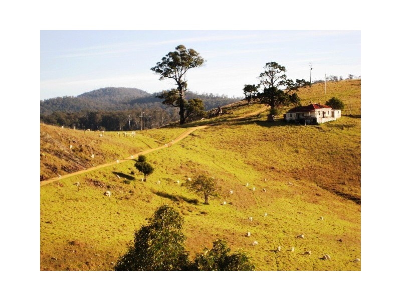 379 Bald Hills Road, Bald Hills NSW 2549