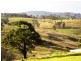379 Bald Hills Road, Bald Hills NSW 2549
