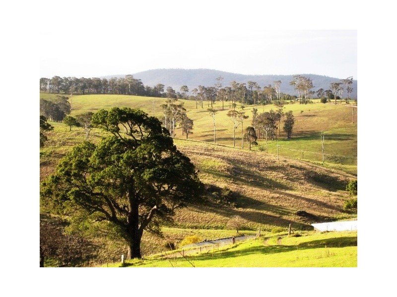 379 Bald Hills Road, Bald Hills NSW 2549