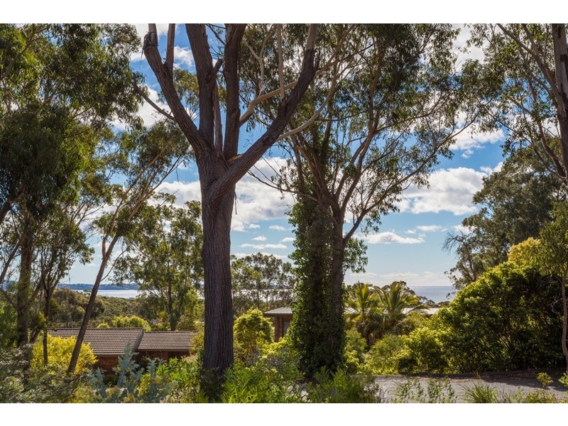 14 Gwainurra Grove, Pambula Beach NSW 2549