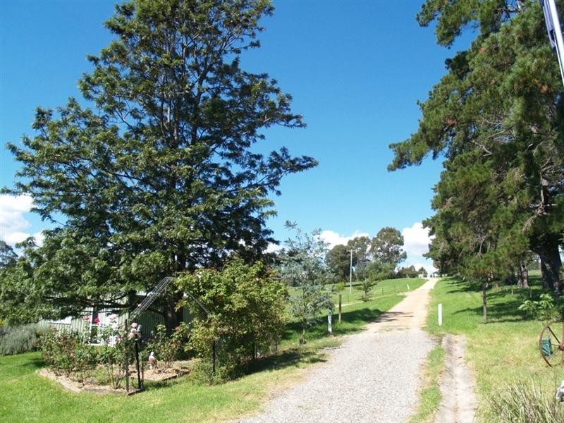 906 Candelo Wolumla Rd, Toothdale NSW 2550