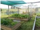906 Candelo Wolumla Rd, Toothdale NSW 2550