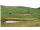 906 Candelo Wolumla Rd, Toothdale NSW 2550