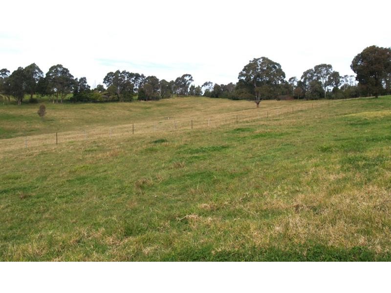 906 Candelo Wolumla Rd, Toothdale NSW 2550
