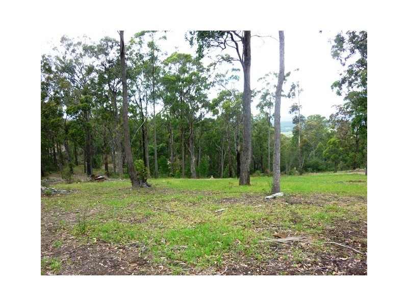 Lot 51 Bald Hills Road, Bald Hills NSW 2549