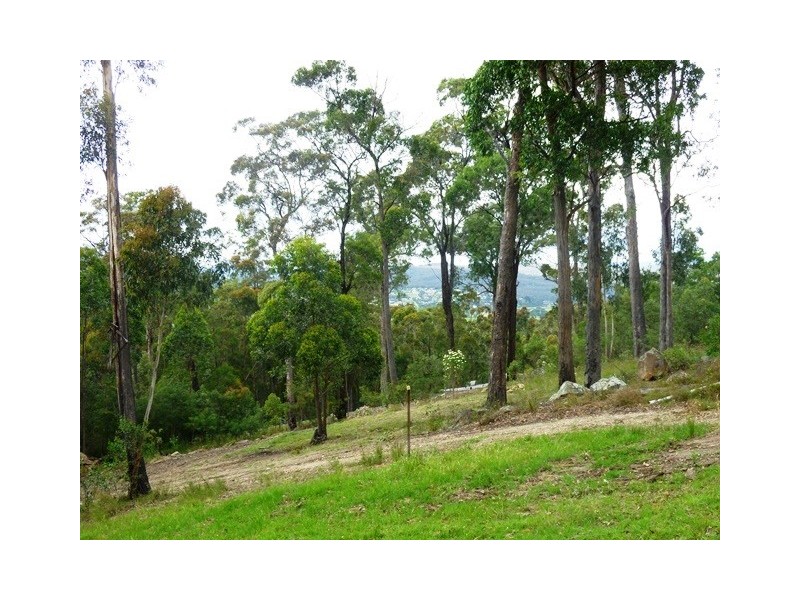 Lot 51 Bald Hills Road, Bald Hills NSW 2549