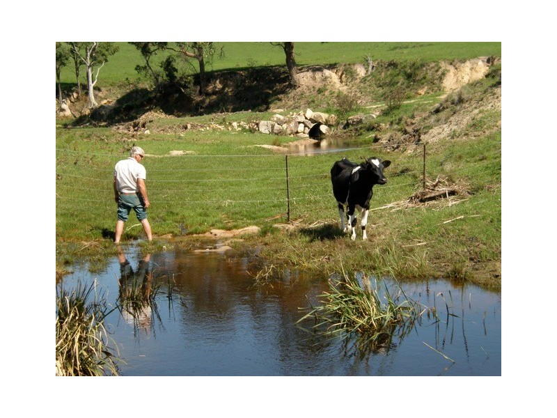 1 Gutheries Road, Bemboka NSW 2550