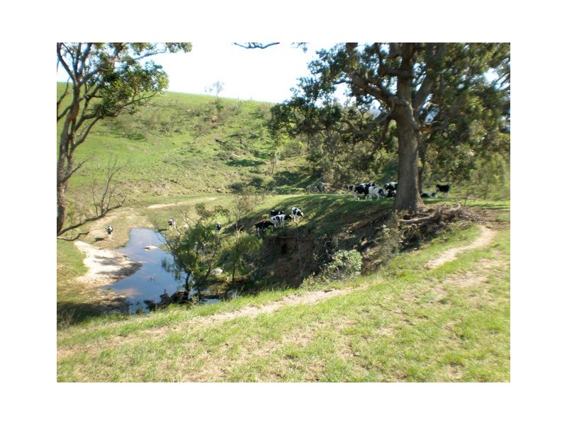 1 Gutheries Road, Bemboka NSW 2550