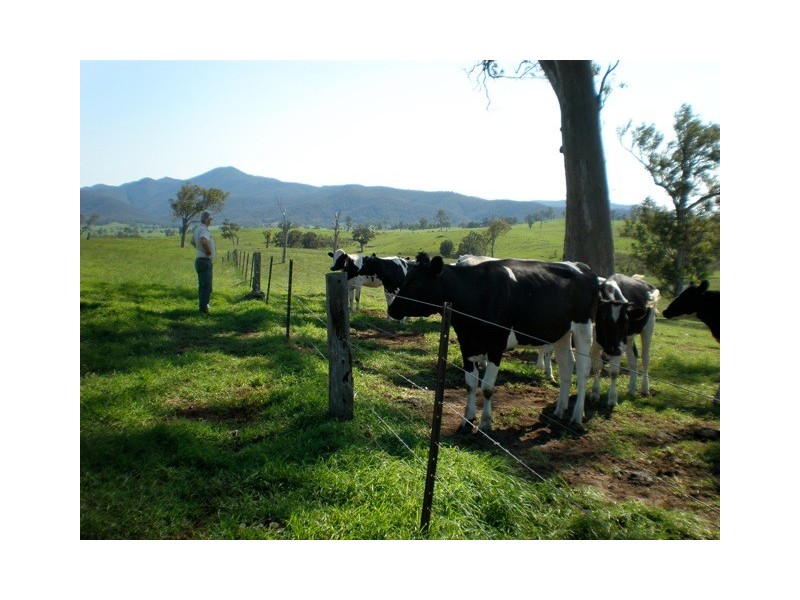 1 Gutheries Road, Bemboka NSW 2550