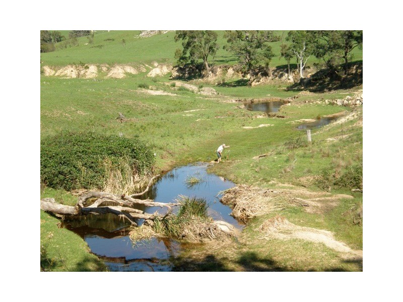 1 Gutheries Road, Bemboka NSW 2550