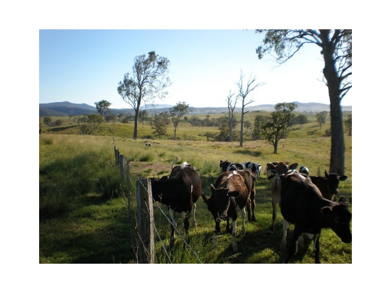 1 Gutheries Road, Bemboka NSW 2550