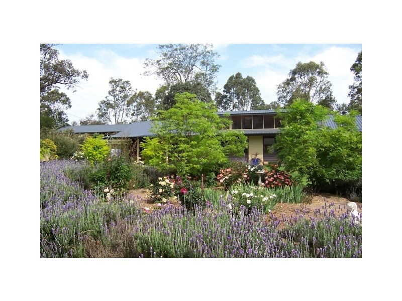 49 Annabelle Close, Wolumla NSW 2550