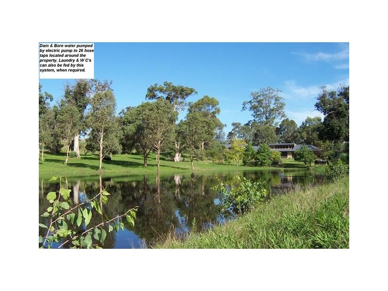 49 Annabelle Close, Wolumla NSW 2550