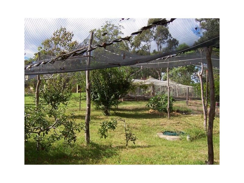 49 Annabelle Close, Wolumla NSW 2550