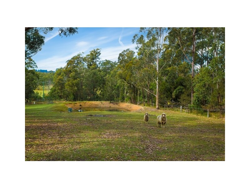 77 Wallagoot Lane, Wallagoot NSW 2550