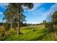 Lot 102 Millingandi Road, Millingandi NSW 2549