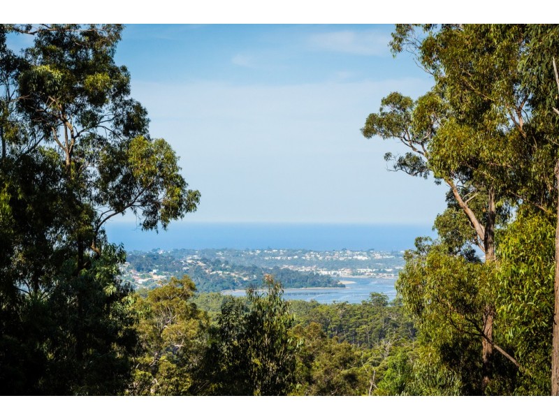 Lot 197 Millingandi Road, Millingandi NSW 2549