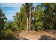 Lot 197 Millingandi Road, Millingandi NSW 2549