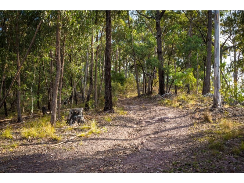Lot 197 Millingandi Road, Millingandi NSW 2549