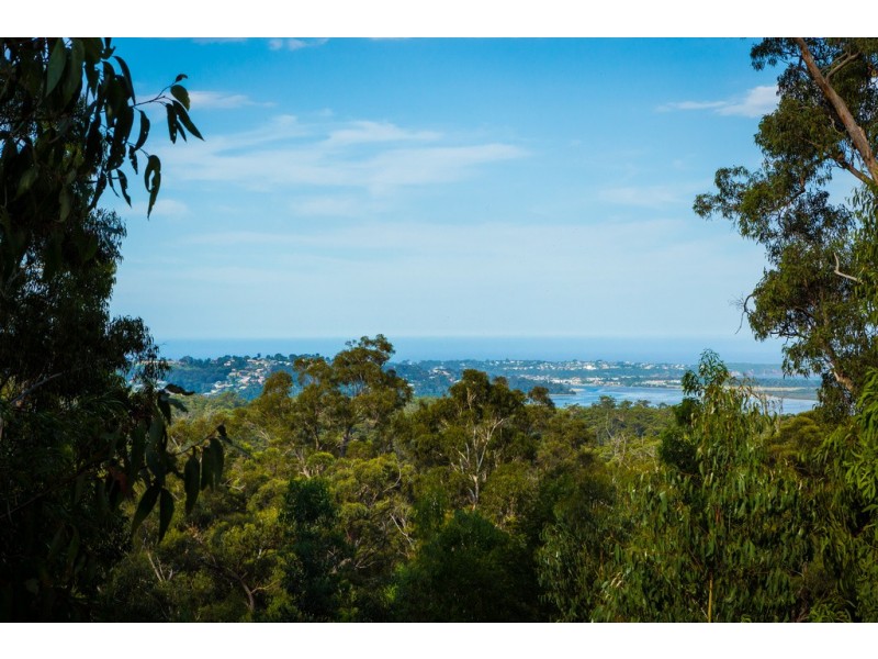 Lot 197 Millingandi Road, Millingandi NSW 2549