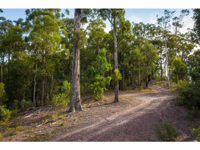 Lot 197 Millingandi Road, Millingandi NSW 2549