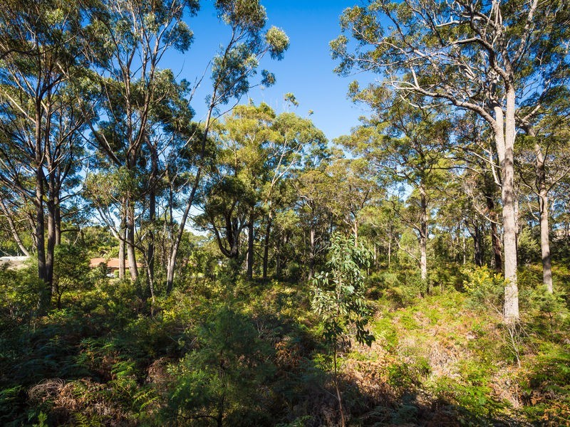 3118 Pacific Way, Tura Beach NSW 2548