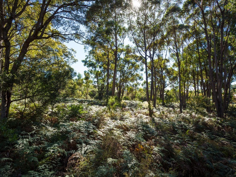 3118 Pacific Way, Tura Beach NSW 2548