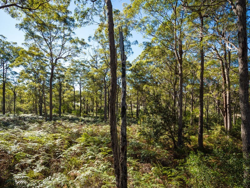 3118 Pacific Way, Tura Beach NSW 2548