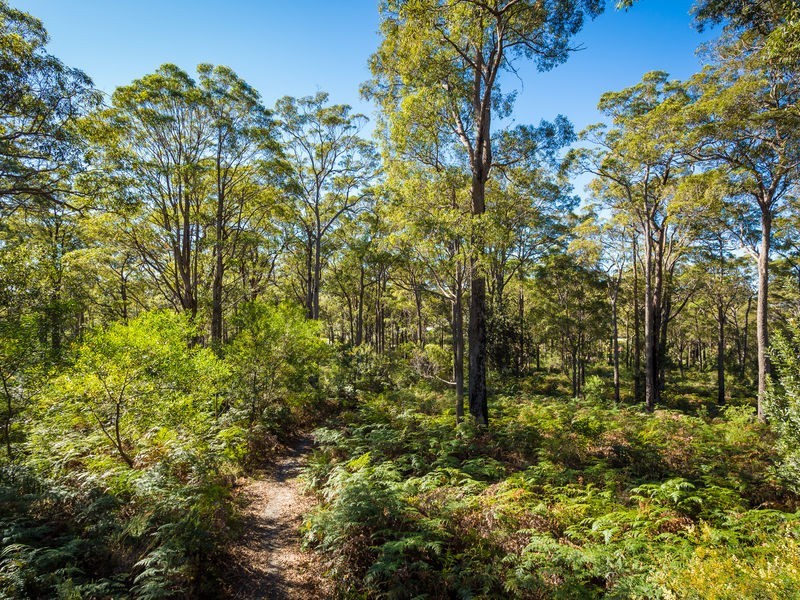 3118 Pacific Way, Tura Beach NSW 2548