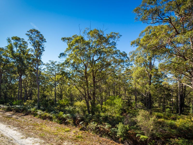 3118 Pacific Way, Tura Beach NSW 2548