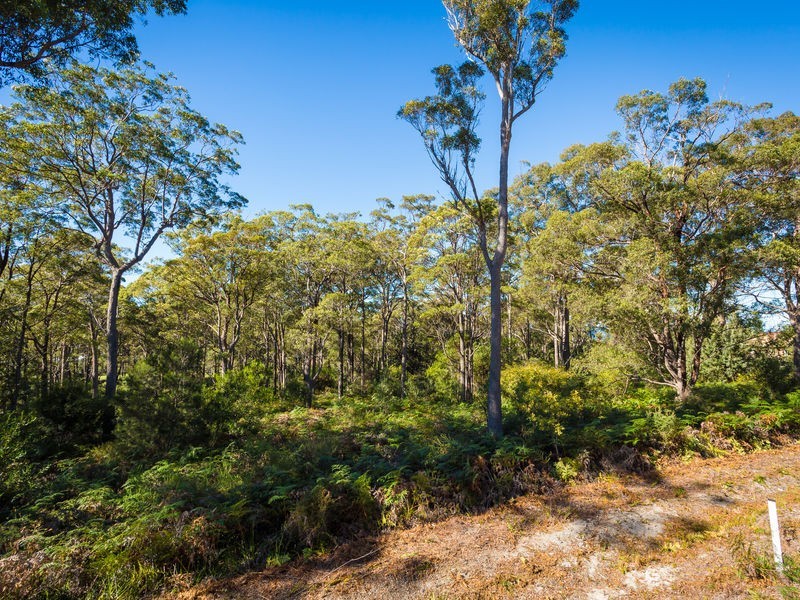 3118 Pacific Way, Tura Beach NSW 2548