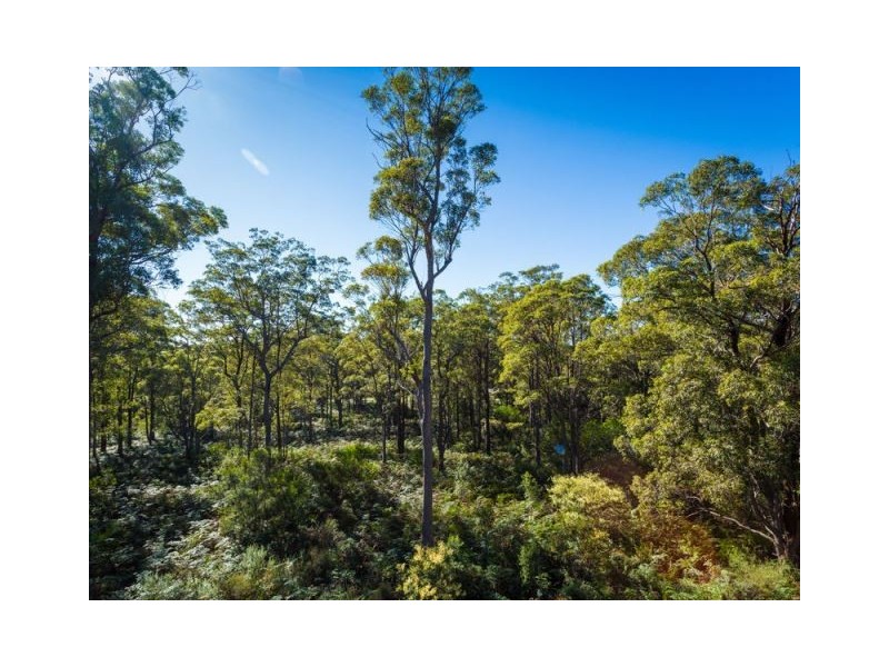 3118 Pacific Way, Tura Beach NSW 2548