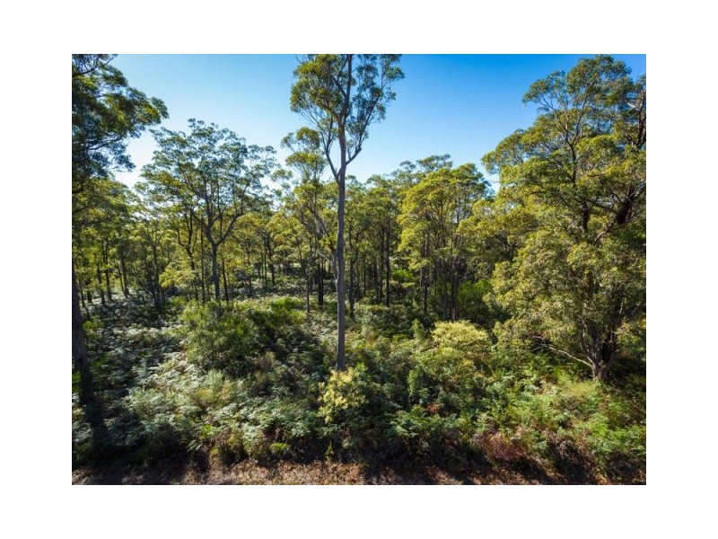 3118 Pacific Way, Tura Beach NSW 2548
