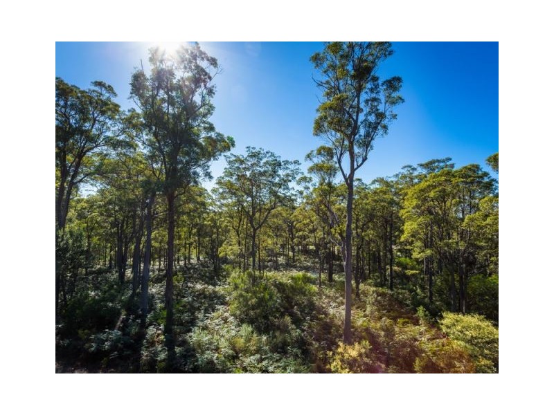 3118 Pacific Way, Tura Beach NSW 2548