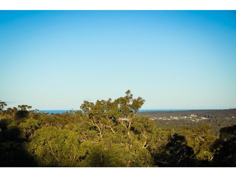 29 BALD HILLS ROAD, Bald Hills NSW 2549