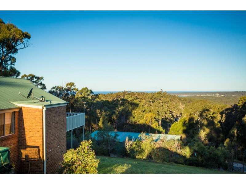 29 BALD HILLS ROAD, Bald Hills NSW 2549