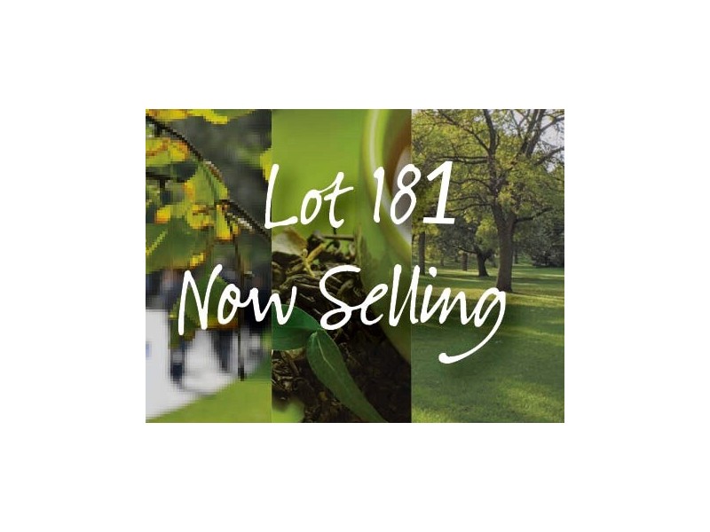 46 Coolimba Turn, Baldivis WA 6171