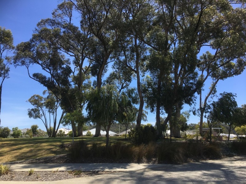 46 Coolimba Turn, Baldivis WA 6171