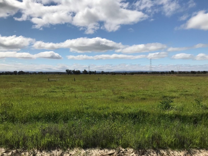 38 Herman RD, Baldivis WA 6171